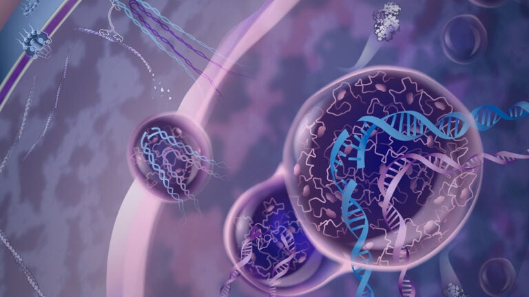 Artist’s depiction of a newly discovered cellular mechanism in which protein droplets safeguard regions of the genome that are notably susceptible to DNA repair mistakes.